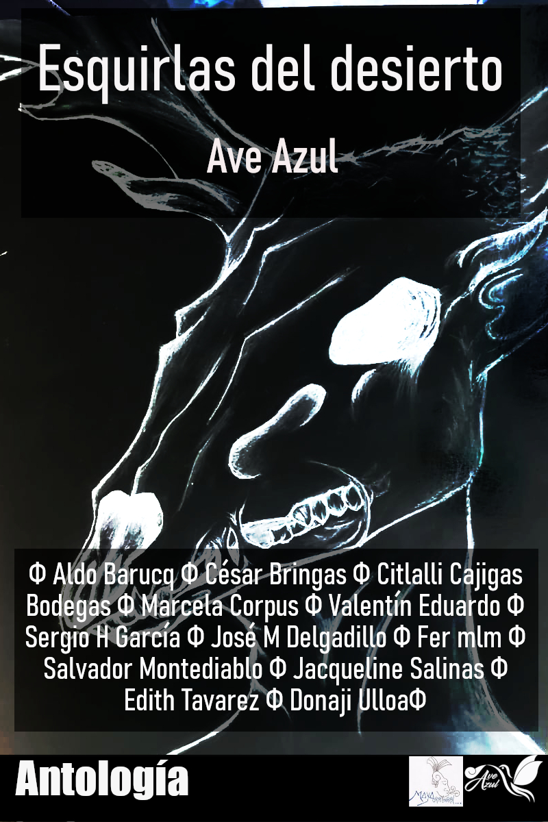 Ediciones Ave Azul Esquirlas del desierto