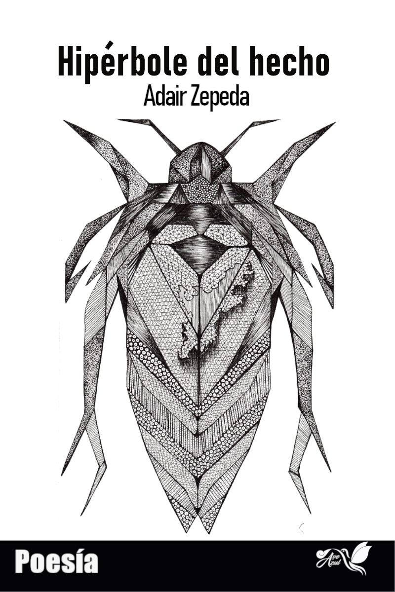 Ernesto Adair Zepeda Villarreal Hiperbole del hecho