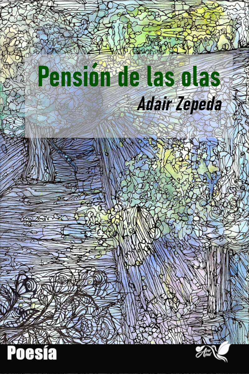 Ernesto Adair Zepeda Villarreal Pension de las olas